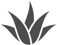 First Nations Collective aloe symbol image