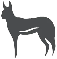 First Nations Collective rooikat symbol image