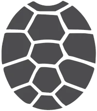 First Nations Collective tortoise shell symbol image