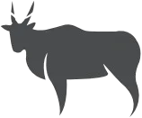 First Nations Collective eland symbol image